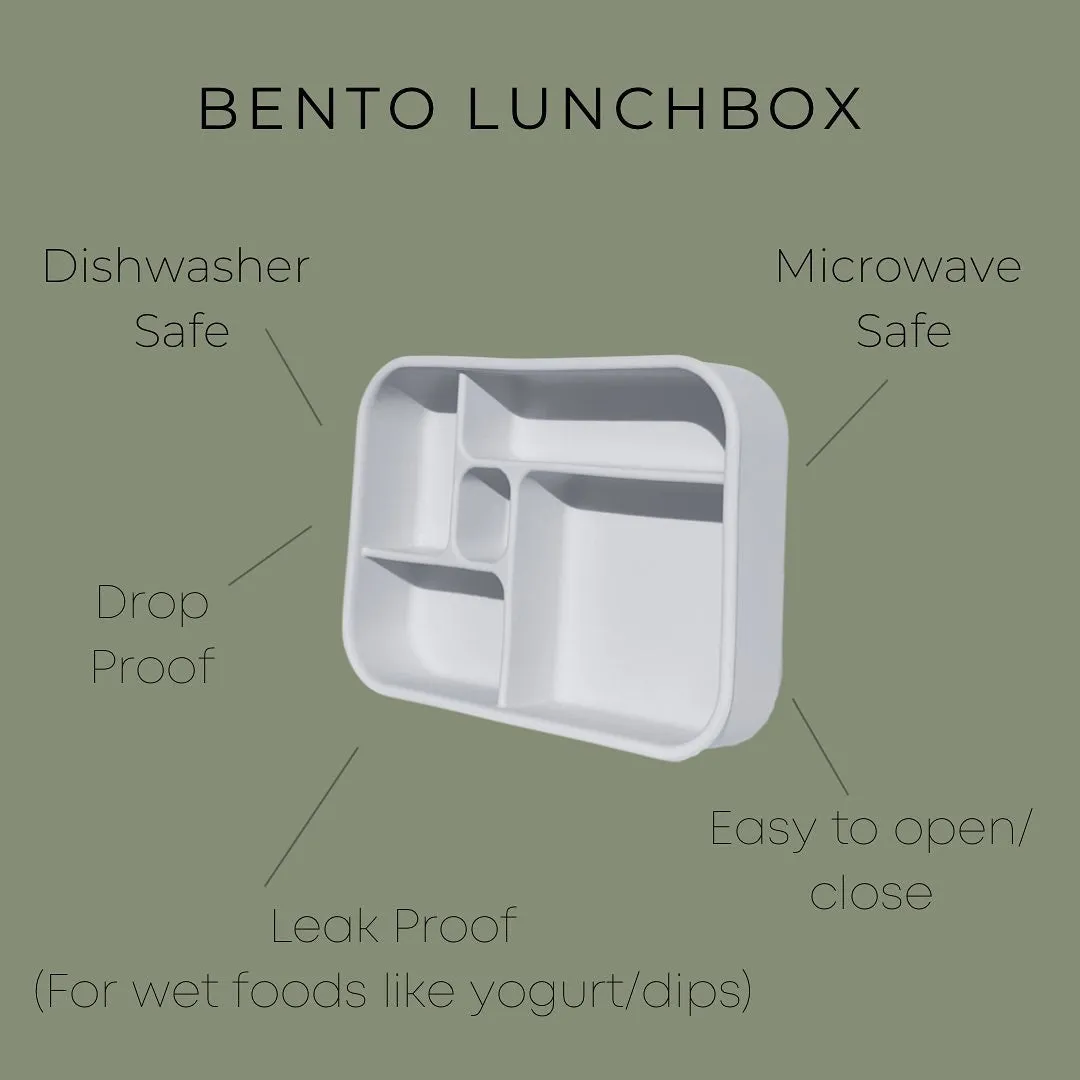 Silicone Bento Lunch Box - Paddle Pop