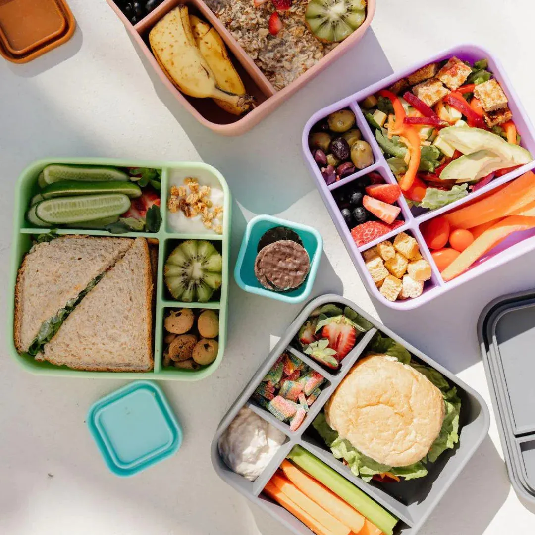 The Zero Waste People BIG Silicone Lunch Box - Lilac